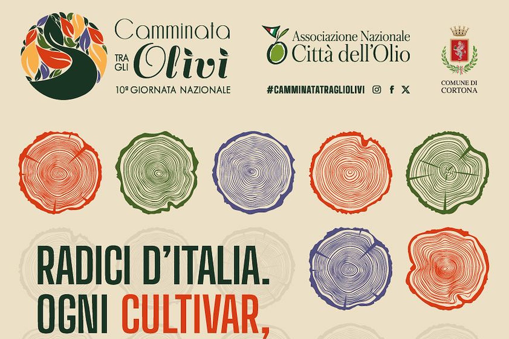 Camminata fra gli olivi 2026