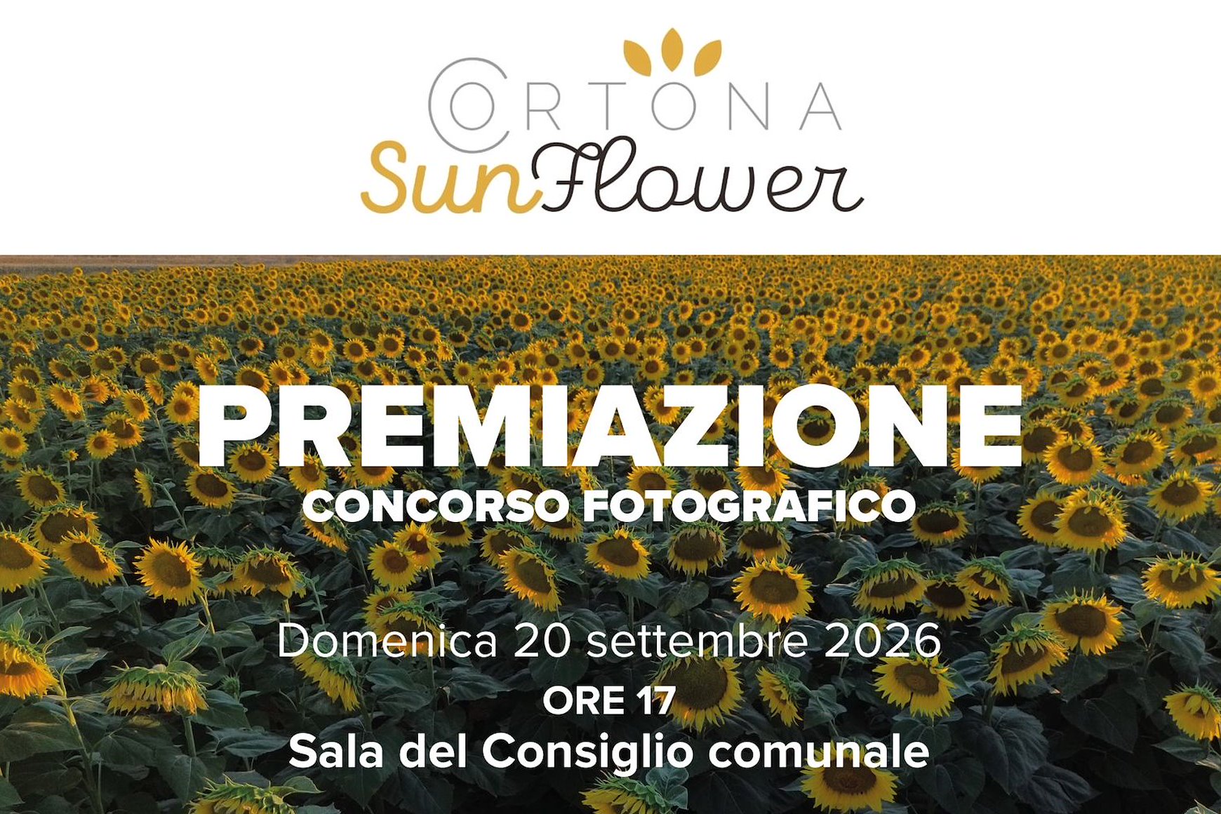 Concorso fotografico Cortona Sunflower